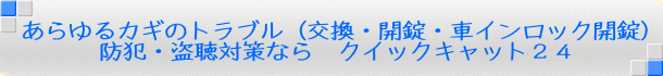 あらゆるカギのトラブル（交換・開錠・車インロック開錠） 防犯・盗聴対策なら　クイックキャット２４ 